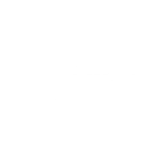 PG ELETRIC MOTORS